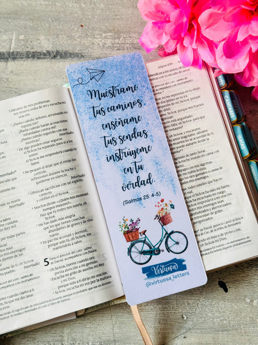 Pack 5 separadores coloridos