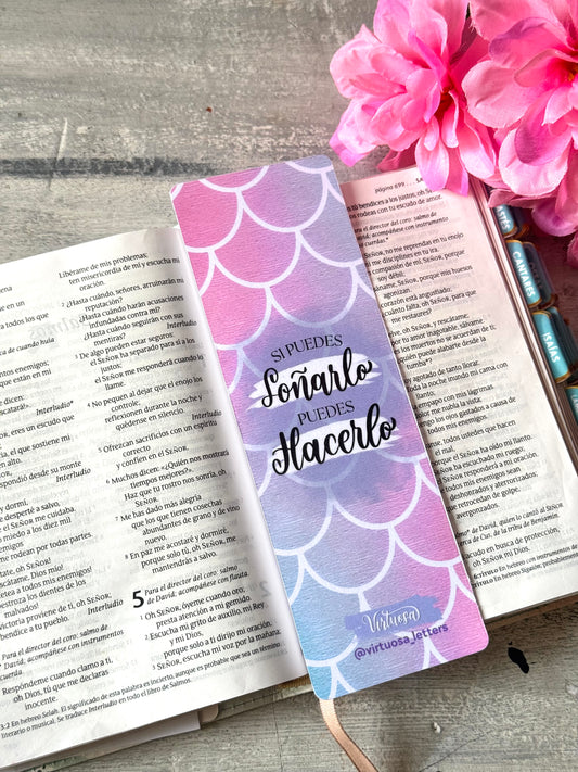 Pack 5 separadores coloridos