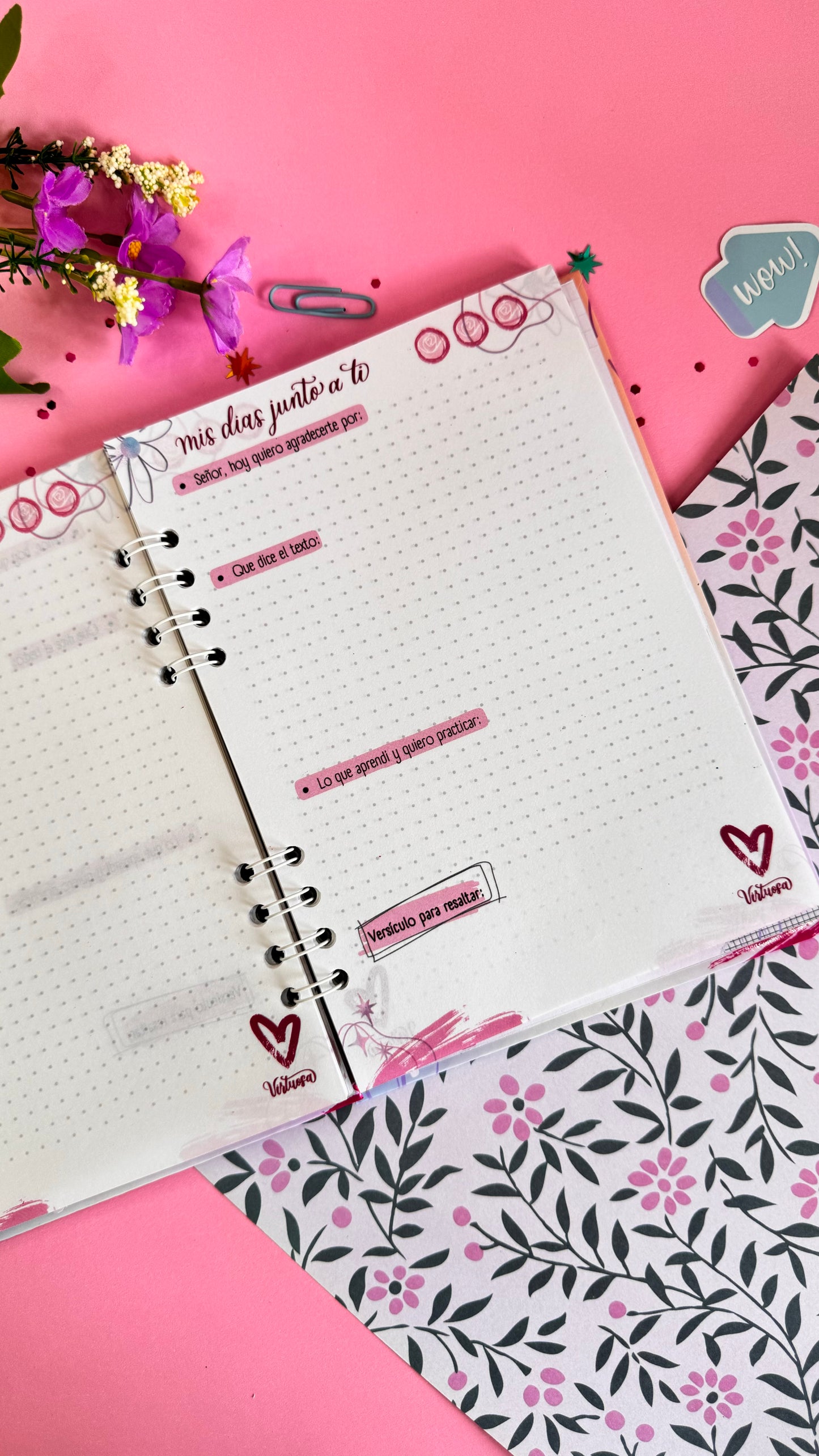 Diario Devocional Virtuosa