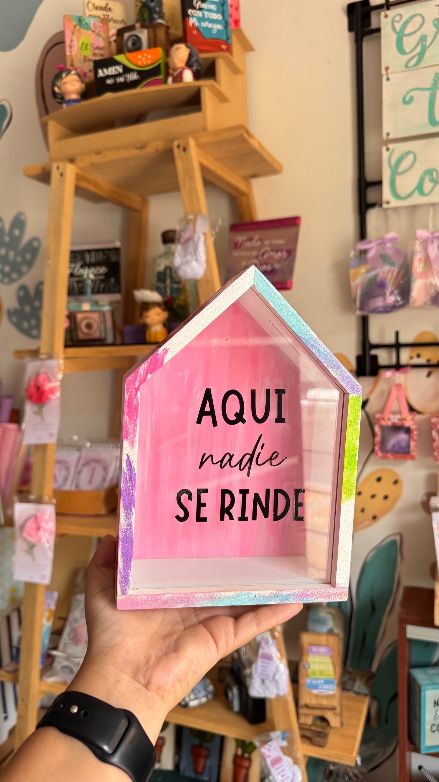 Alcancía Casita Rosa
